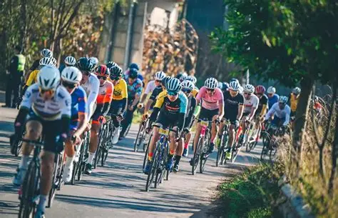 九游娱乐(JIUYOU)官网-在线体育游戏娱乐平台