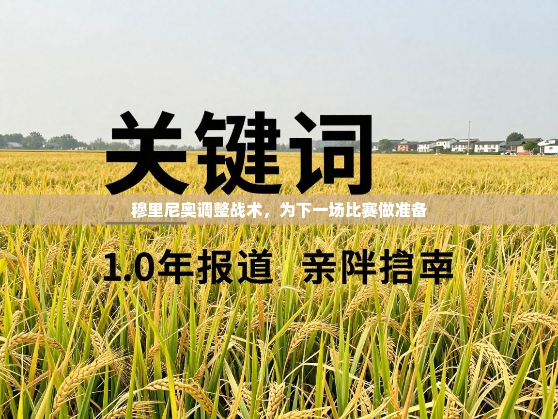 穆里尼奥调整战术,为下一场比赛做准备 第2张