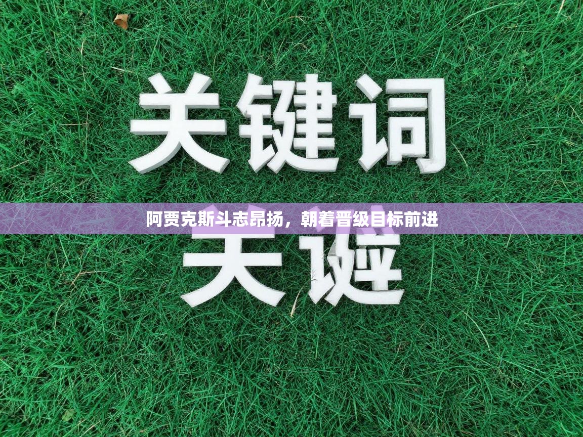 阿贾克斯斗志昂扬,朝着晋级目标前进 第2张